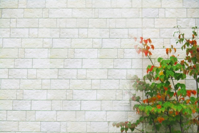 京都市の外壁塗装なら【株式会社RIZE】へ～外装リフォームで外観を一新したい方もおすすめ！～